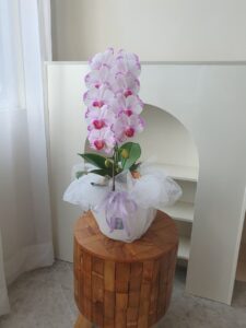 WhatsApp Image 2025-09-23 at 15.01.41