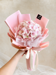 hydrangea pink
