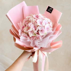 hydrangea pink