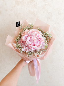 hydrangea pink