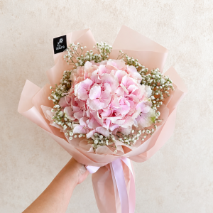 hydrangea pink