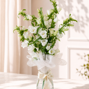 bell flowers putih